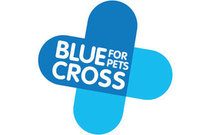 Blue Cross